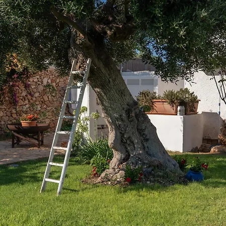 Guest house Niale - Luxury & Relax